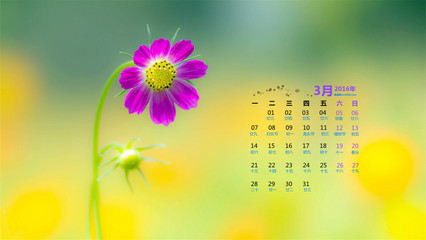 2016年3月日历壁纸精选高清绝美风景图-日历壁纸-壁纸下载-美桌网