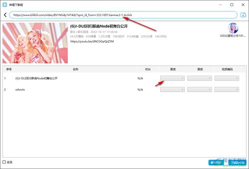 downkyi电脑版下载 b站视频下载工具免费v1.5.4 绿色免费版 极光下载站