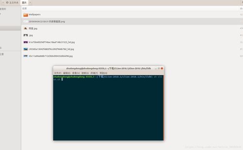 ubuntu下 下载安装使用jetbrain公司产品